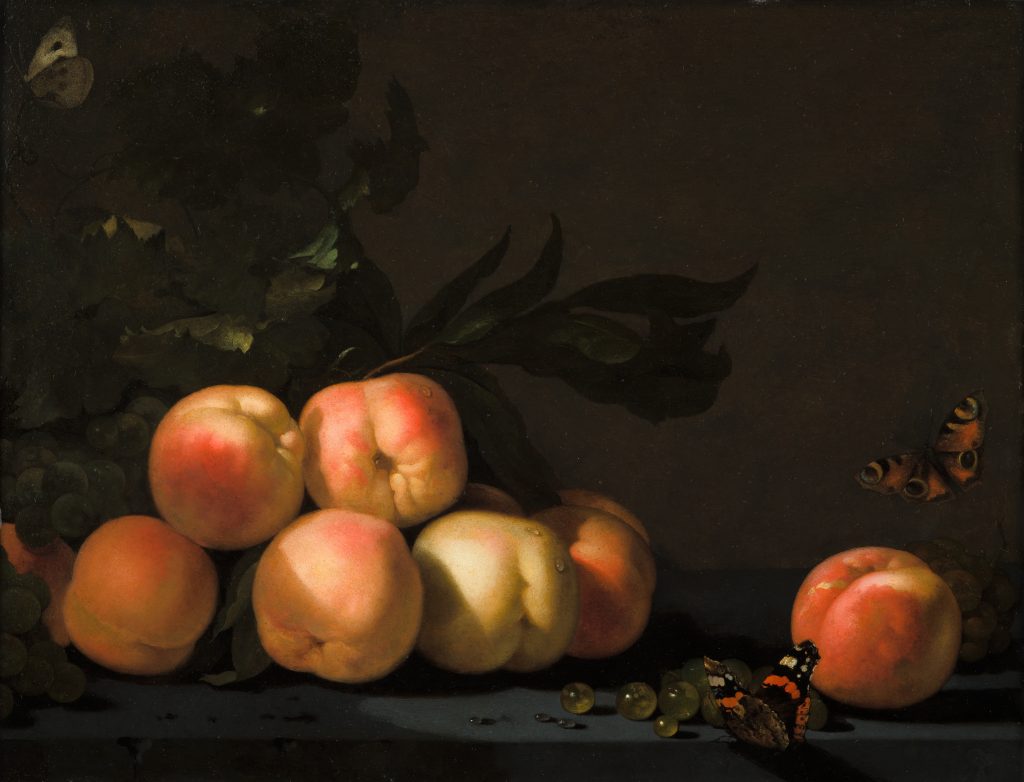 Abraham van Calraet, Still-Life with Peaches, Grapes and Butterflies